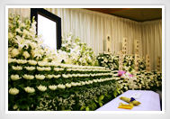 ���V���Վ���