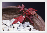 �揊��Ύ���