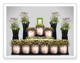 ������ԍՒd�ژ^