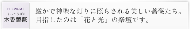 �؍��K�N�b�����Ő_���ȓ���ɏƂ炳���������K�N�����B�ڎw�����̂́u�Ԃƌ��v�̍Ւd�ł��B