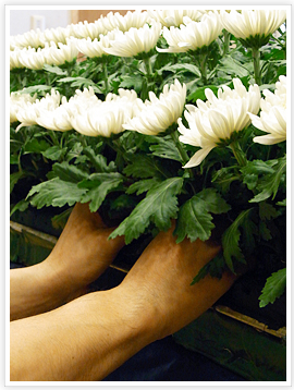 �E�lFILE03.�ԐE�l