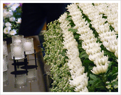 ���V���i